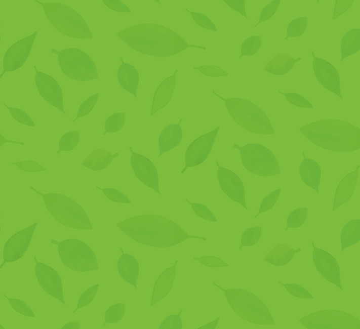 Troublesome squirrels