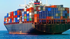 Combating pest damage in shipping containers
